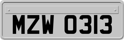 MZW0313