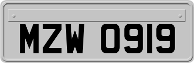 MZW0919