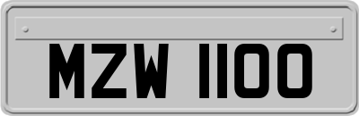 MZW1100