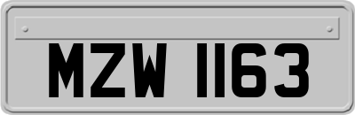 MZW1163