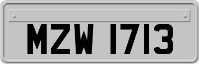 MZW1713