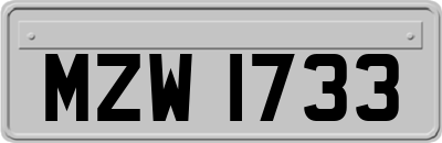 MZW1733