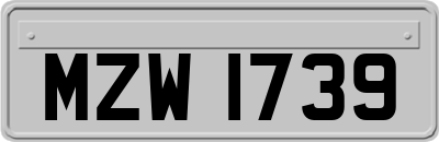 MZW1739