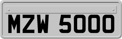 MZW5000