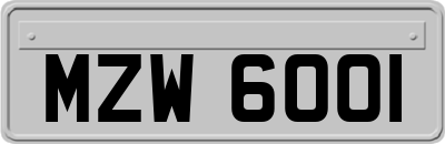 MZW6001