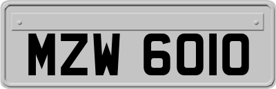 MZW6010