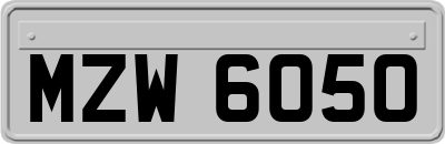 MZW6050