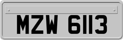 MZW6113