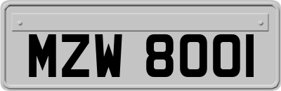 MZW8001