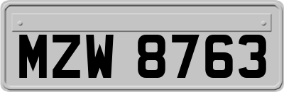 MZW8763