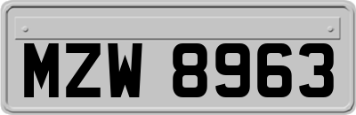 MZW8963