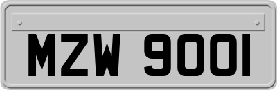 MZW9001