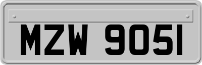 MZW9051