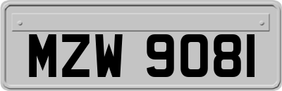 MZW9081