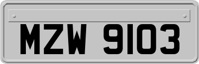 MZW9103