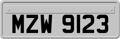 MZW9123