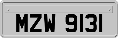 MZW9131