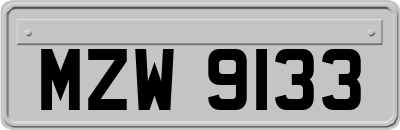 MZW9133