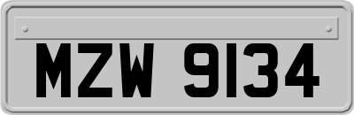 MZW9134