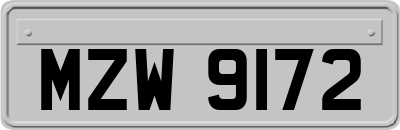 MZW9172