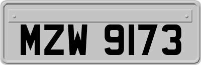 MZW9173