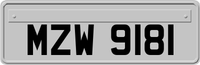 MZW9181