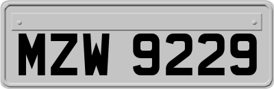 MZW9229