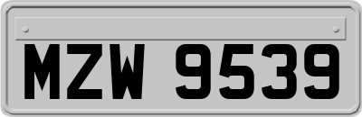 MZW9539