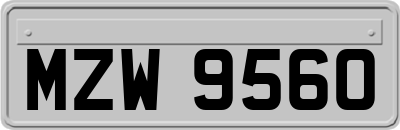 MZW9560