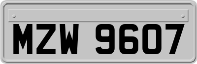 MZW9607