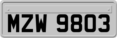 MZW9803