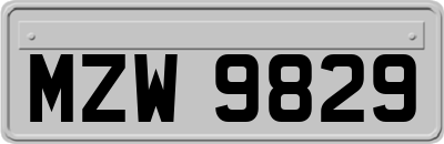 MZW9829