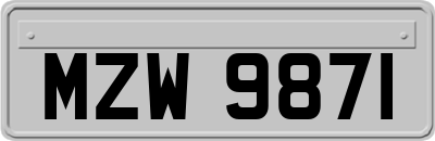 MZW9871