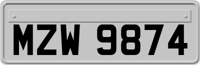 MZW9874