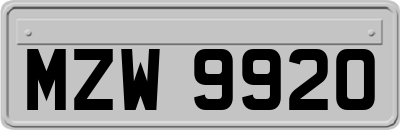 MZW9920