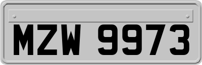 MZW9973