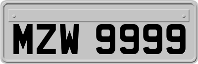 MZW9999