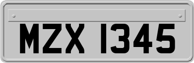 MZX1345