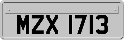 MZX1713