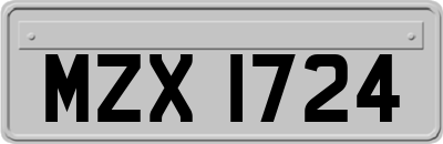 MZX1724