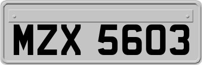 MZX5603