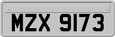 MZX9173