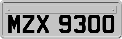 MZX9300