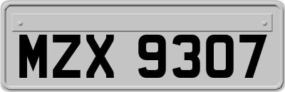 MZX9307