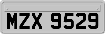 MZX9529