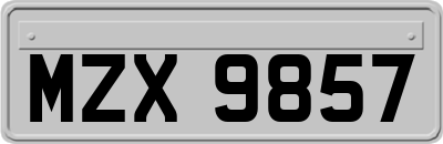 MZX9857