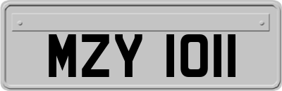 MZY1011