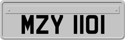MZY1101