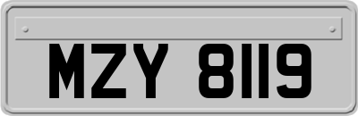 MZY8119