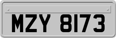 MZY8173